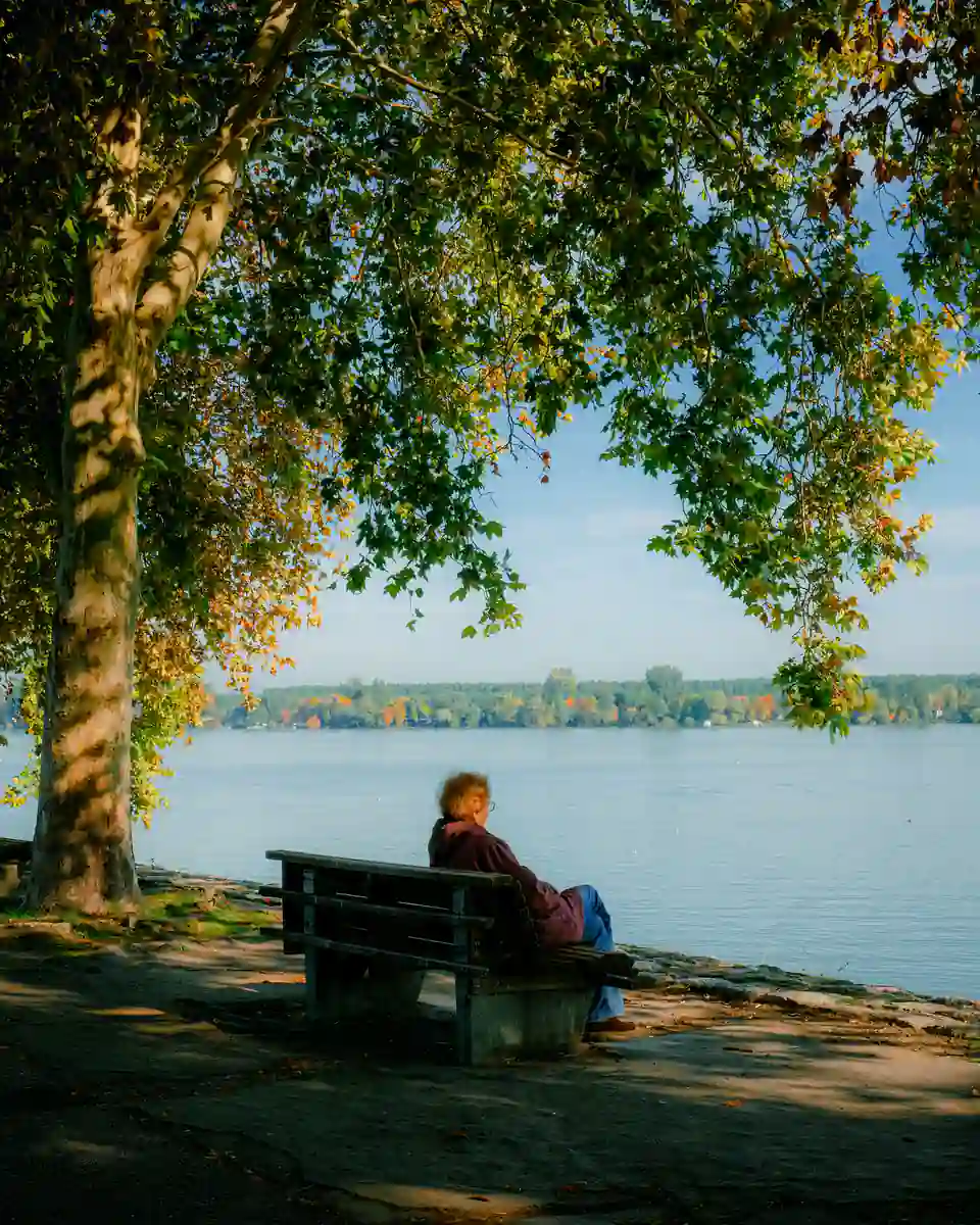 A person sitting alone on a bench by the water, in the shade of a large tree with autumn leaves